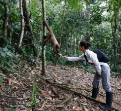 Imagen Interacción con la fauna Shay